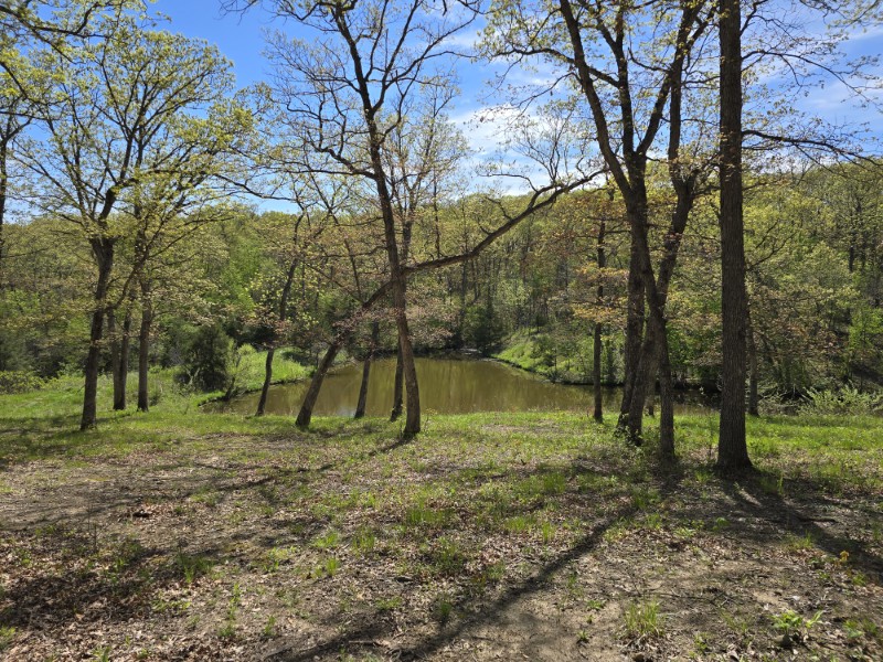 Mercer County, MO 160+/- primary image